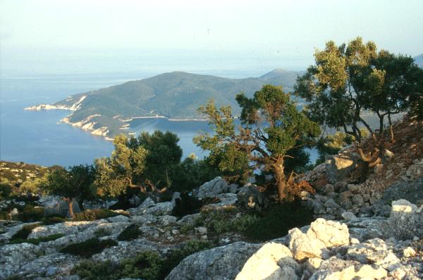 Ithaca Panoramic View