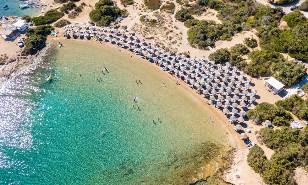 shutterstock_1216454227