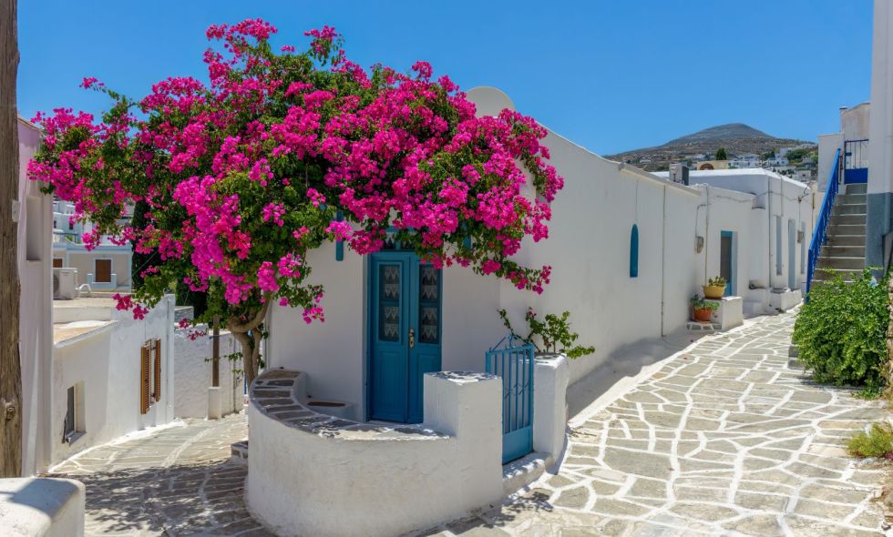 shutterstock_2228200713