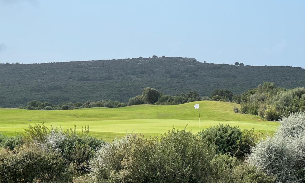 PHOTO-2026-01-15-15-44-08 (4)