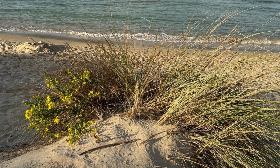 PHOTO-2026-01-30-08-44-58